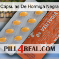 Cápsulas De Hormiga Negra 43